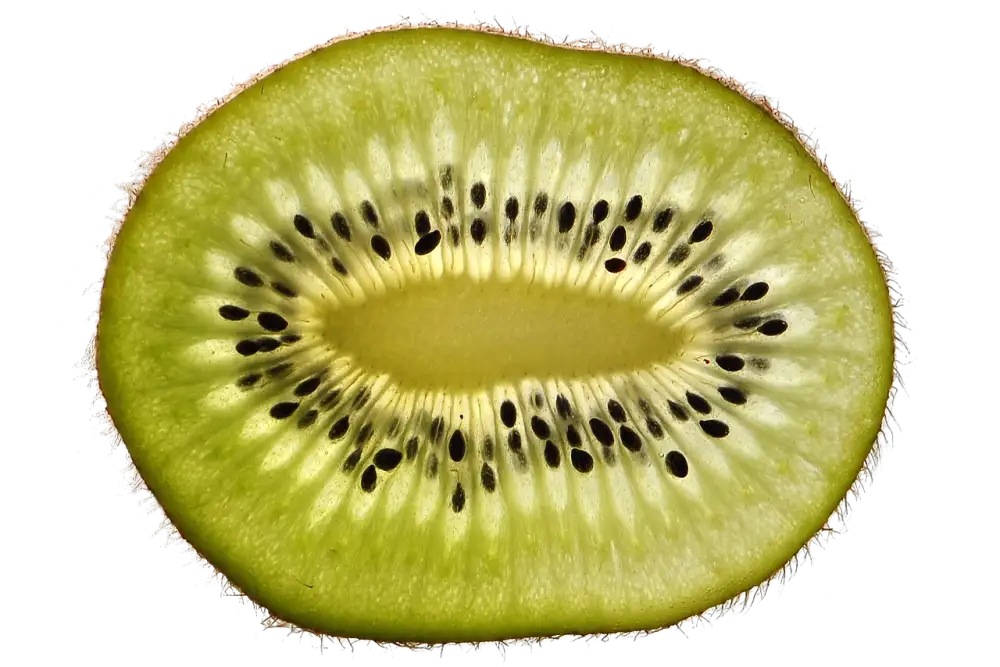 Kiwi Letenky