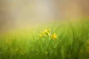 Španělsko Dovolená S Dětmi